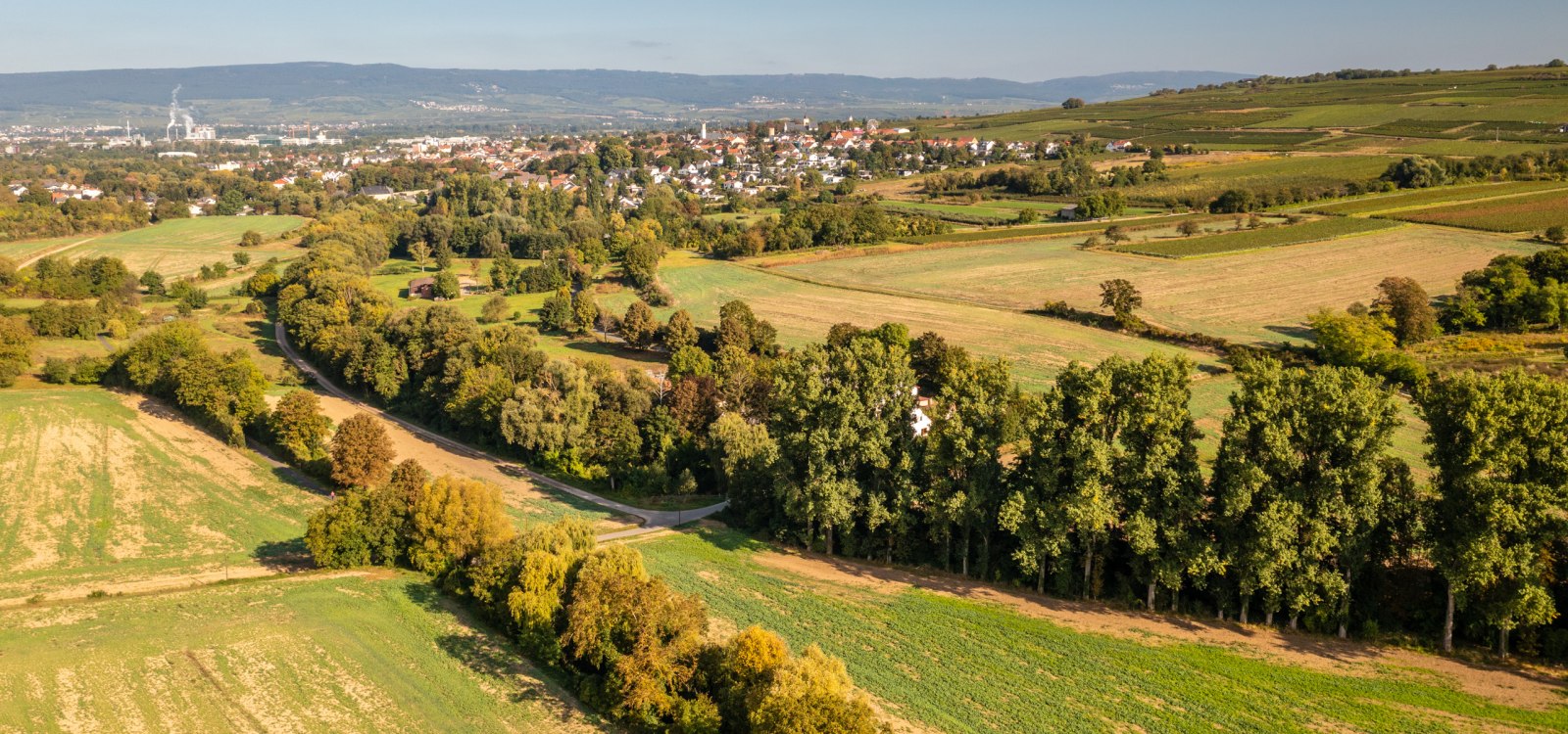 rheinhessen-2021-650-ingelheim-krimiwanderung rheinhessen-2021-650-ingelheim-krimiwanderung