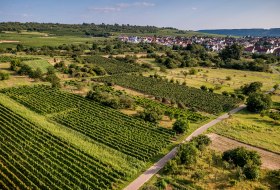 Ingelheimer Rotes Kreuz Ingelheimer Rotes Kreuz