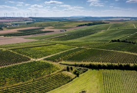 Flonheimer Binger Berg Flonheimer Binger Berg