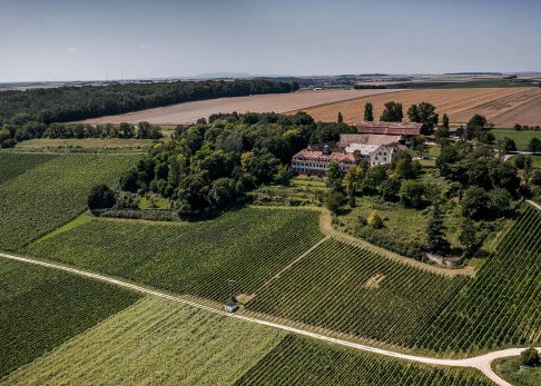 Weinlage Schloss Westerhaus, © Torsten Silz Weinlage Schloss Westerhaus, © Torsten Silz