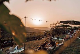 © Max Singer-Fischer © Max Singer-Fischer