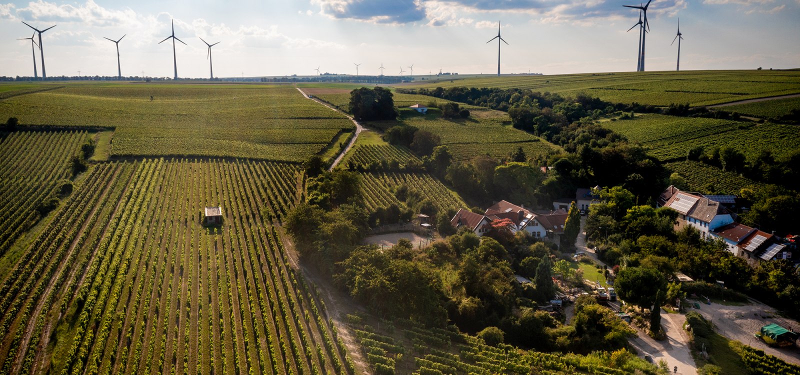 Alsheimer Fischerpfad Alsheimer Fischerpfad
