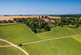 Ingelheimer Schloß Westerhaus Ingelheimer Schloß Westerhaus