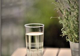 Wein Genuss Walk, © IkUM GmbH Wein Genuss Walk, © IkUM GmbH