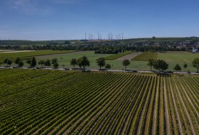 Gimbsheimer Liebfrauenthal Gimbsheimer Liebfrauenthal