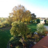 Blick auf den Garten Blick auf den Garten
