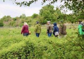 Hiestand Wein & Wandern Hiestand Wein & Wandern