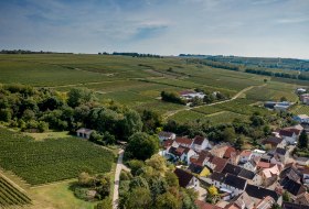 Groß-Winternheimer Bockstein Groß-Winternheimer Bockstein