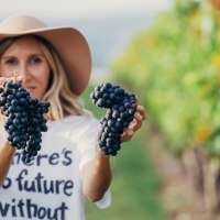 Hofgut Hemmes 2 © Hofgut Hemmes, Christian Hattemer Hofgut Hemmes 2 © Hofgut Hemmes, Christian Hattemer