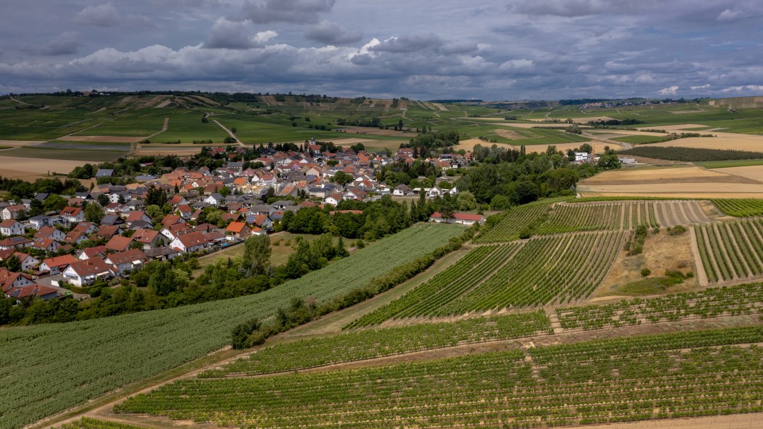 Gau-Weinheimer Geyersberg Gau-Weinheimer Geyersberg