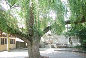 Brunnenplatz Ensheim Brunnenplatz Ensheim