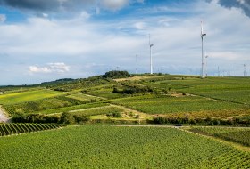 Framersheimer Hornberg Framersheimer Hornberg