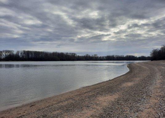 Rheinstrand Oppenheim © TSC Rhein-Selz Rheinstrand Oppenheim © TSC Rhein-Selz