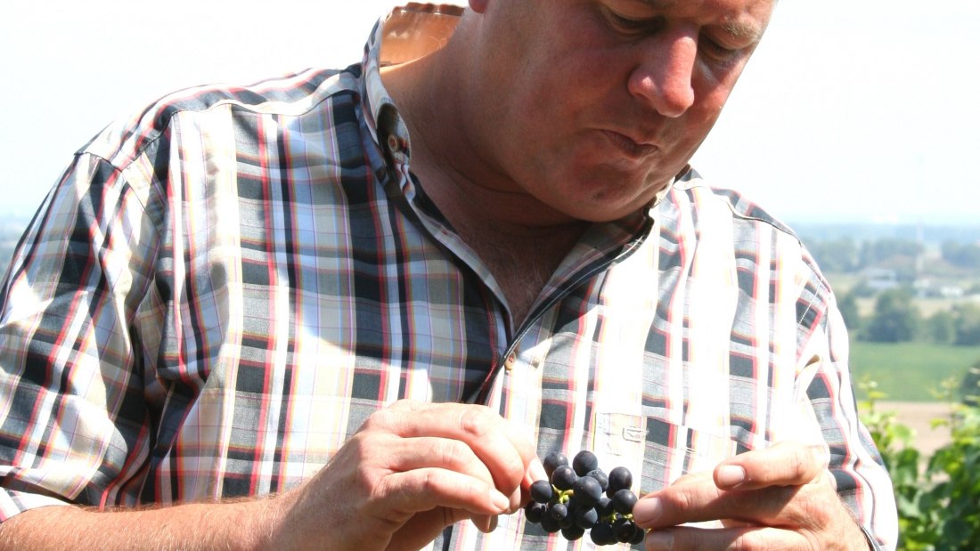 © Weingut Eckehart Gröhl © Weingut Eckehart Gröhl