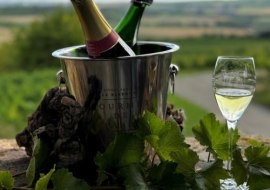 Eintauchen in die Welt des Schaumweins 1, © Uwe Riedner Eintauchen in die Welt des Schaumweins 1, © Uwe Riedner