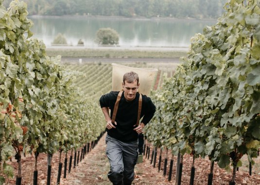Weingut Eimermann 3 © Ines Barwig Weingut Eimermann 3 © Ines Barwig
