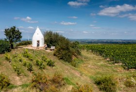 Flonheimer Rotenpfad © Rheinhessenwein e.V./Torsten Silz Flonheimer Rotenpfad © Rheinhessenwein e.V./Torsten Silz