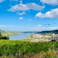 Ausblick © Greber Ausblick © Greber