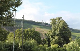 IMG_7303 IMG_7303