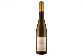 Weingut Rettig Riesling 2023 Weingut Rettig Riesling 2023