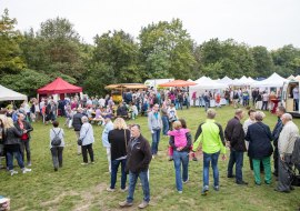 Rheinh. Landmarkt, © René Harth Rheinh. Landmarkt, © René Harth