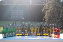 28164699_927383347430570_8890786329750878347_o, © Weingut Siebenhof 28164699_927383347430570_8890786329750878347_o, © Weingut Siebenhof