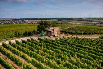 Weinheimer Kapellenberg Weinheimer Kapellenberg