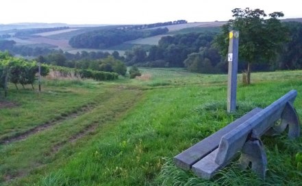Bank der Herzen – meine Lieblingsbank auf dem Laurenziberg an einem frühen Spätsommermorgen. (c) Heike Tharun Bank der Herzen – meine Lieblingsbank auf dem Laurenziberg an einem frühen Spätsommermorgen. (c) Heike Tharun