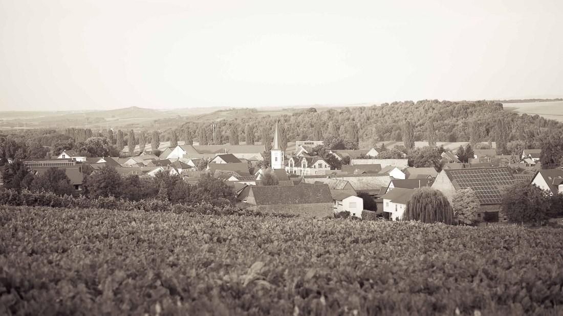 Lawall-stoehr_C-23, © Weingut Lawall-Stöhr Lawall-stoehr_C-23, © Weingut Lawall-Stöhr