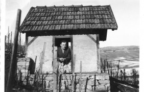 Historische Aufnahme des Wingertshaus Historische Aufnahme des Wingertshaus