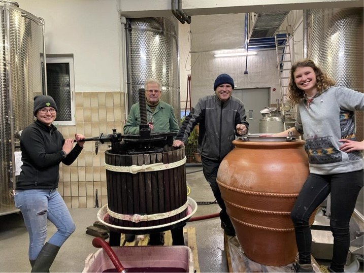 © Weingut Burghof Oswald © Weingut Burghof Oswald