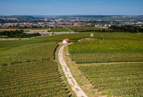 Gensinger Goldberg Gensinger Goldberg