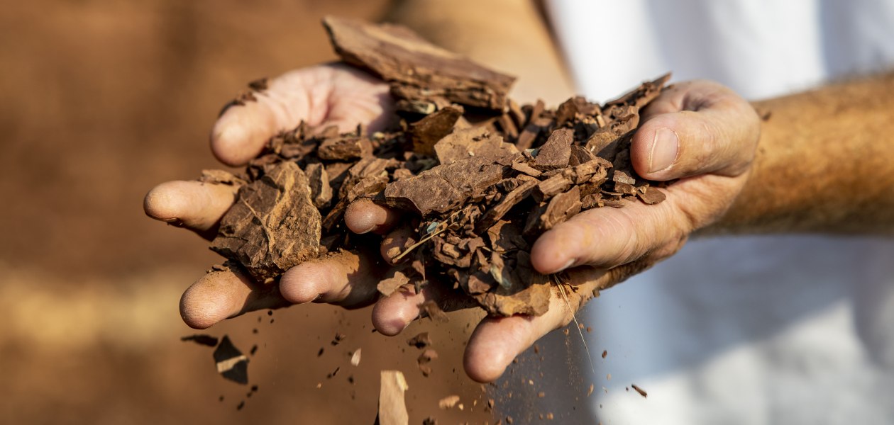 Weingut Raddeck_Hände Weingut Raddeck_Hände