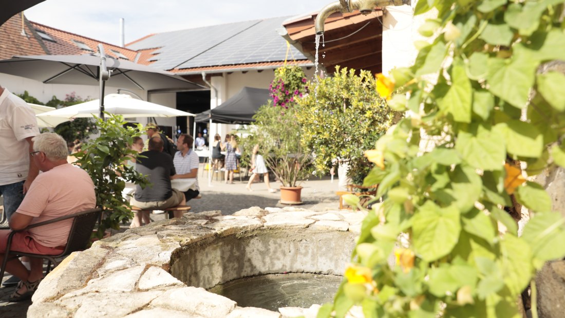 © Weingut Lindenhof Kröhler © Weingut Lindenhof Kröhler