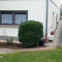 Gartenansicht Gartenansicht