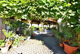 Weinlaube Lich © Weingut Lich Weinlaube Lich © Weingut Lich