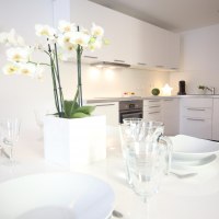 IMG_5001 IMG_5001