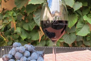 © Weingut Margaretenhof © Weingut Margaretenhof