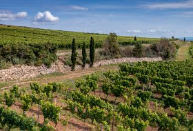 Westhofener Brunnenhäuschen Westhofener Brunnenhäuschen