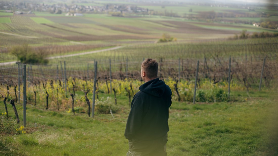 Weingut Binzel_Winzer Weinberg, © Weingut Binzel Weingut Binzel_Winzer Weinberg, © Weingut Binzel