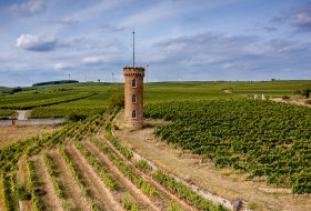 Weinheimer Kapellenberg Weinheimer Kapellenberg