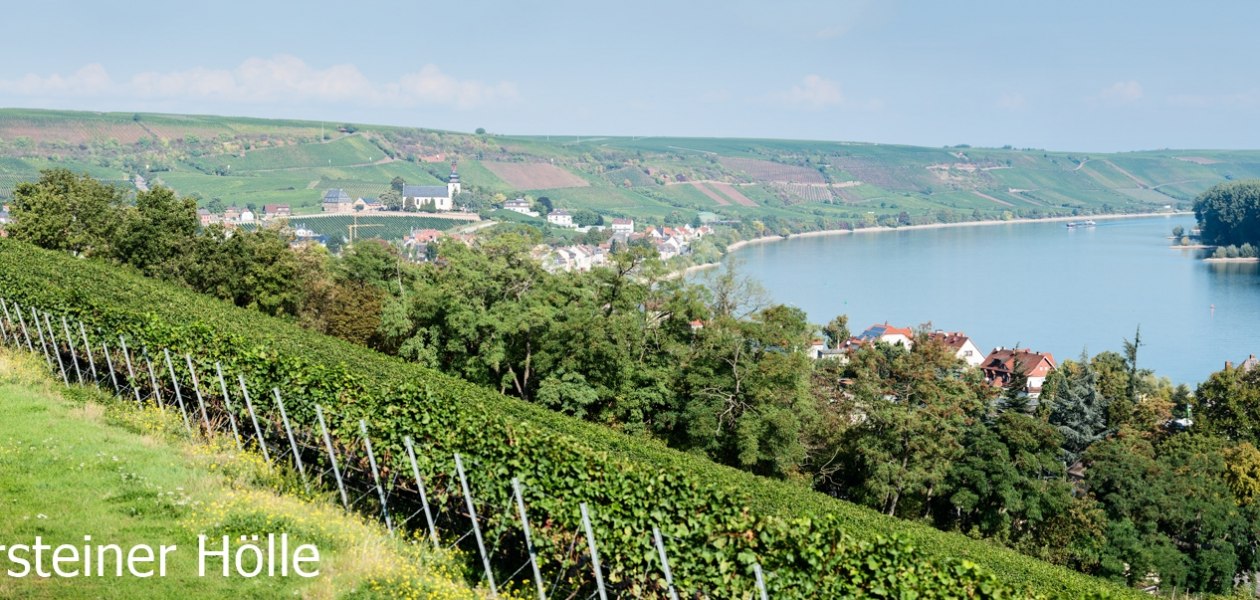 Weingut Eckehart Gröhl_Weinlage, © Weingut Eckehart Gröhl Weingut Eckehart Gröhl_Weinlage, © Weingut Eckehart Gröhl