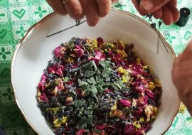 Wildkräuterwanderung Wildkräuterwanderung