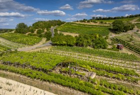 Sankt Johanner Klostergarten-008 Kopie Sankt Johanner Klostergarten-008 Kopie
