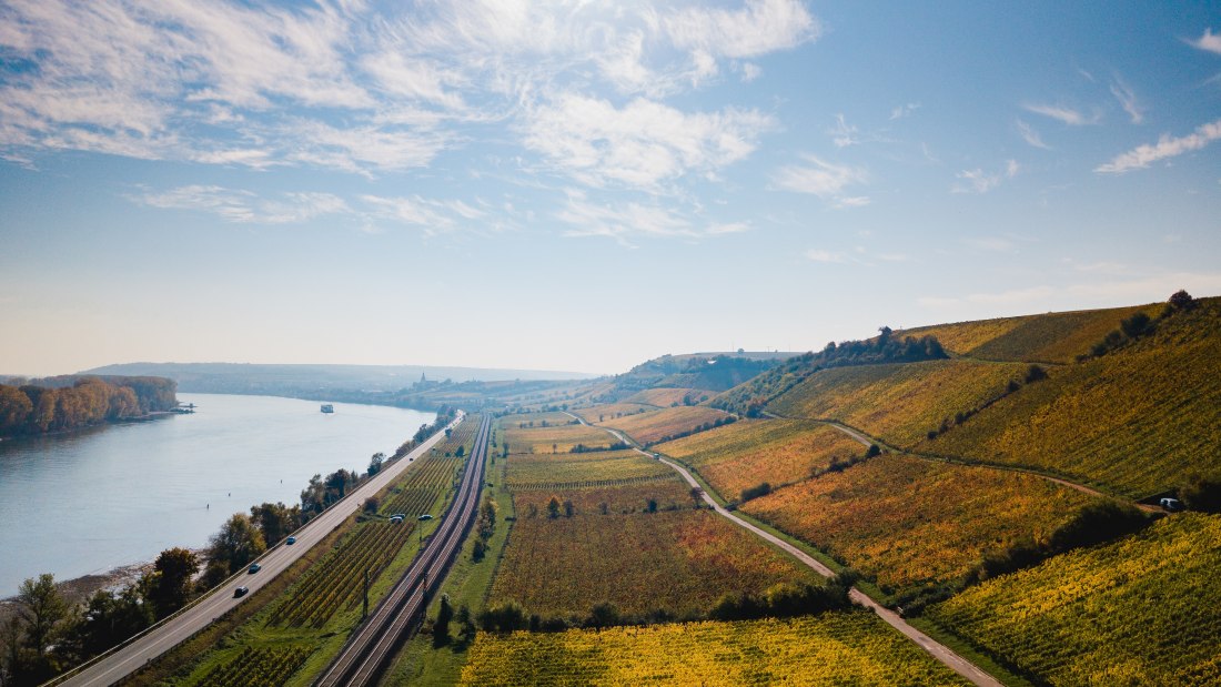 © Weingut Seebrich © Weingut Seebrich