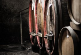 © Weingut Schnabel © Weingut Schnabel