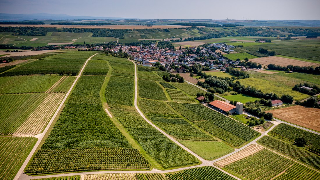 Appenheimer Eselspfad Appenheimer Eselspfad