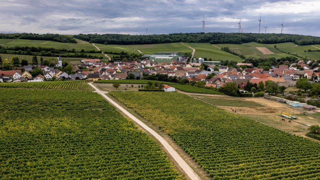 Lonsheimer Mandelberg Lonsheimer Mandelberg