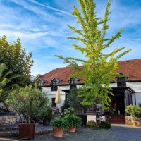 Innenhof Battenheimer Hof Bodenheim Innenhof Battenheimer Hof Bodenheim