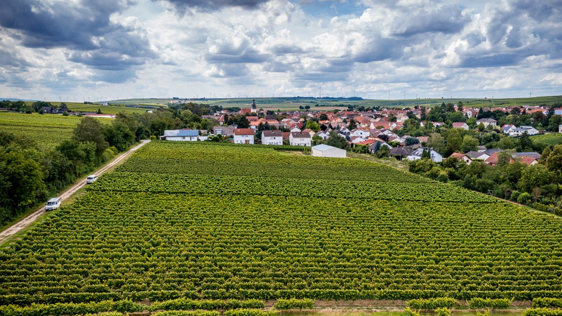 Bechtheimer Stein Bechtheimer Stein